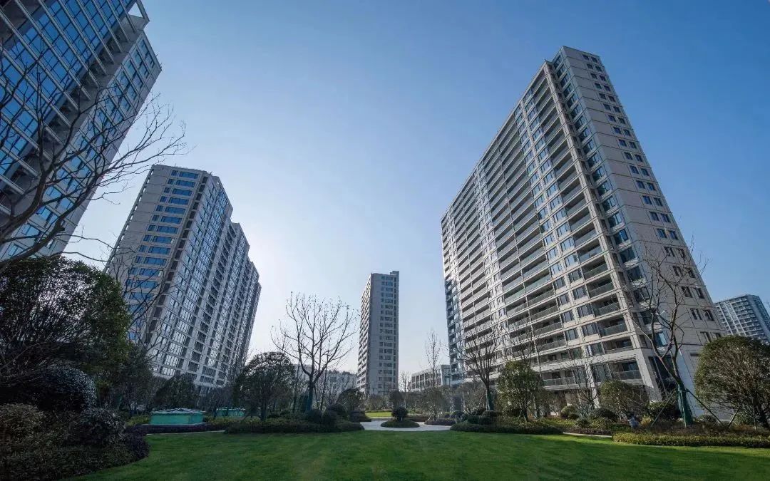 1733205111370449MkMw.jpg e80feb6cd1418f584975ac3287155a77.jpg