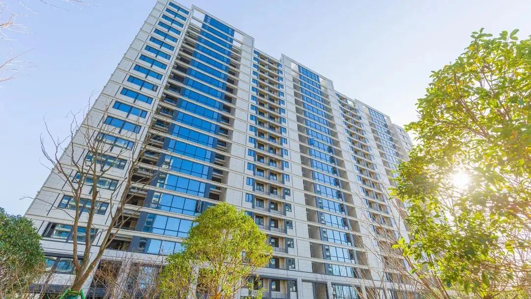 1733205296424216aj1f.jpg 3165342a3aeeb602e4c6e9d2c3bac2b0.jpg