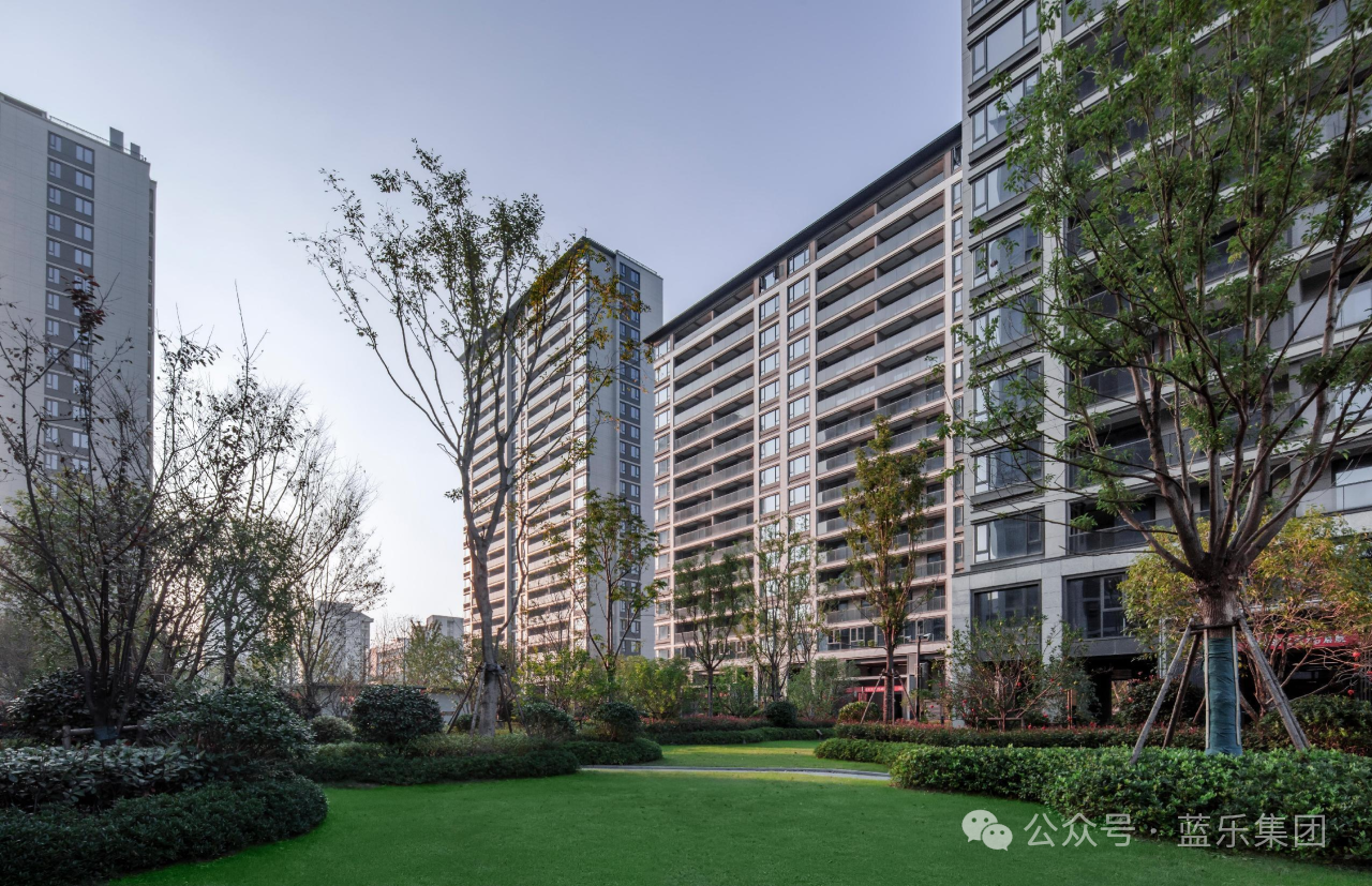 1734421901913138RYdx.png e10af6dc64f934ad7b0b1e66ada789a3.png